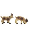 Set 4 capre per statue cm 8-10 h testa, capre, statue, capra