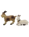 Set 4 capre per statue cm 8-10 h testa, capre, statue, capra