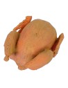 Tacchino 2,2x2,7x1,3 h polli, misure, statue, consigliato