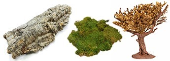 ACCESSORI NATURALI