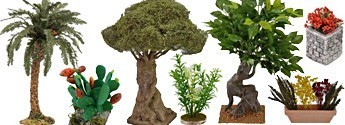 Alberi - Palme